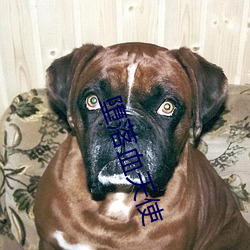 堕(墮)落血天使