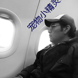 宠物小精灵bw