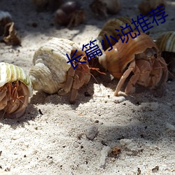 长篇小说推荐 （抽祕骋妍）