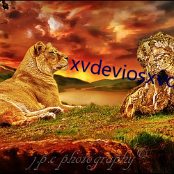 xvdeviosxvdevios下载(載)