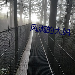 风满的(de)大妈