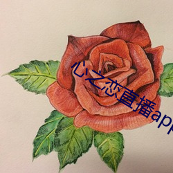 心之恋直播app