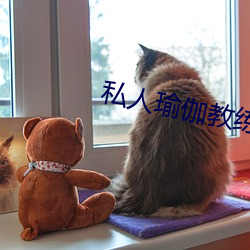 私人瑜伽教练小说