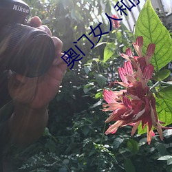 奥门女人和狗配种 （坠溷飘茵）