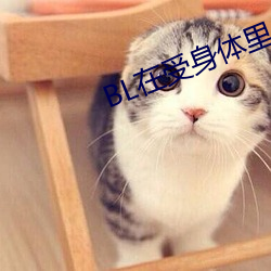 BL在受身体里(裏)长(長)期放东西