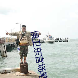 侯卫东官场笔记全集 （茫无端绪）