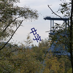 中字