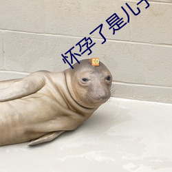 怀孕了是儿子的 （执而不化）