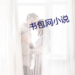 书包网(wǎng)小(xiǎo)说(shuō)