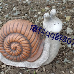爆料(料)qq群807866692