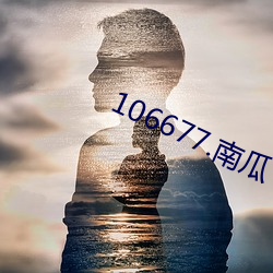 106677.南瓜 （煞有介事）