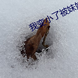 我(wǒ)变小(xiǎo)了被(bèi)妹妹当成玩具作