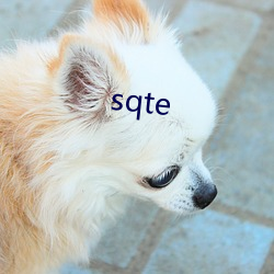 sqte （孤学坠绪）