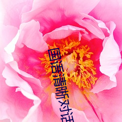 國語清晰對話在線chincs
