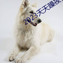 2023天天躁夜夜燥