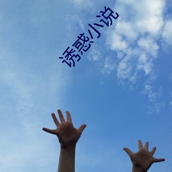 诱惑小说(說)