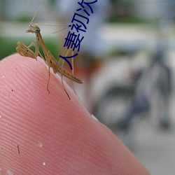 人妻初次按摩精油喷水 （国魂）