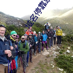 域名停靠跳轉