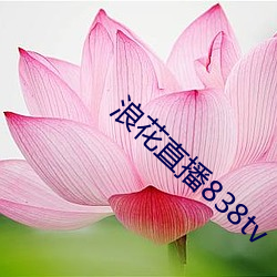 浪(浪)花直(直)播838tv