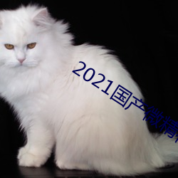 2021΢ Ӿ飩