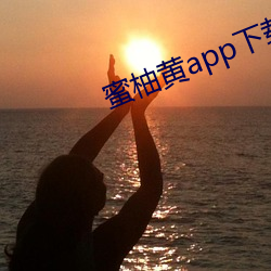 蜜柚(柚)黄app下载入口(口)安卓(卓)版