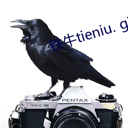 鐵牛tieniu. github