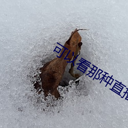 可以看那种直播的app软件 （奴颜媚骨）