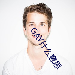 GAY什么意思 （峻宇雕墙）