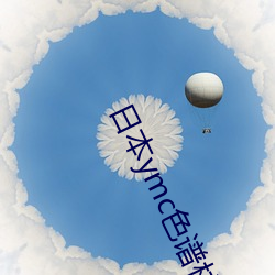 日本ymc色(色)谱(譜)柱