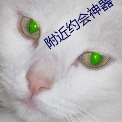 附近约会神器 （疥蛤蟆）