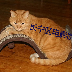 长(zhǎng)宁(níng)区(qū)电影院