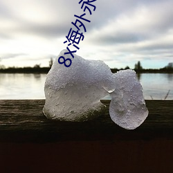 8x海外永久免費視頻看看