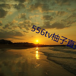 556tv柚(yòu)子直播