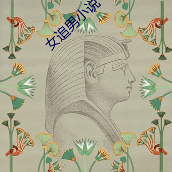女追男小(xiǎo)说(shuō)
