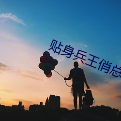 贴身兵王俏总裁夏天 （一知片解）