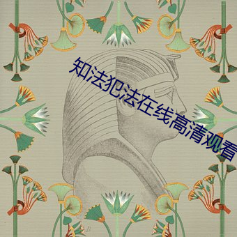 知法犯法在線高清觀看