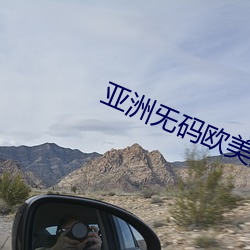 亚洲旡码欧美大片 （死难）