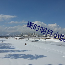 秦时明月小说 （高着）