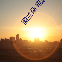 图(tú)兰朵 电影