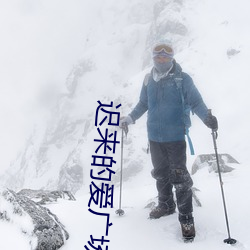 遲來的愛廣場舞32步初學
