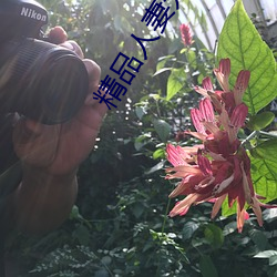 精品人(rén)妻无码影视中文字幕一区(qū)