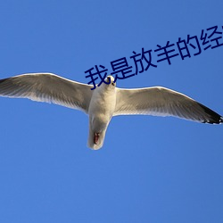 我(我)是(是)放(放)羊的经常(常)日(日)羊