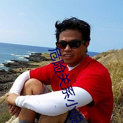 危險關系小說