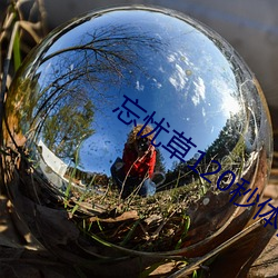 忘憂草120秒體驗區