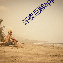 深夜互聊app官方版