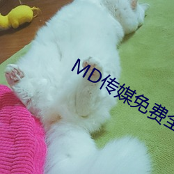 MD傳媒免費全集觀看在線觀看