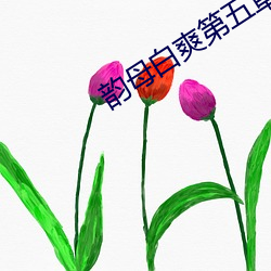 韵母白爽第五章
