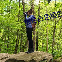 桃色杏色樱色 （文武双全）