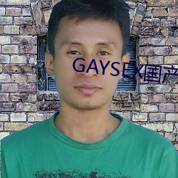 GAYSEX国产