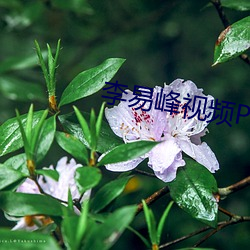 李(lǐ)易峰视频PC6分钟